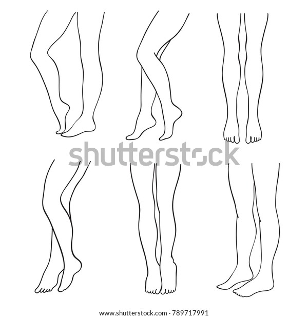 Outline Attractive Female Legs Vector Set Stock Vector Royalty Free 789717991 