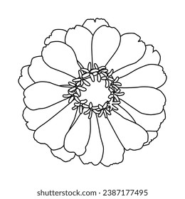 Outline of an autumn flower, chrysanthemum, zinnia