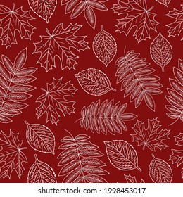 Outline Autumn Leaves doodle seamless pattern. Maple, Rowan, Aspen forest Tree Leaves. Contour Fall season red vector background for invitations, greeting card, wrapping paper, textile, fabric