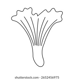Outline autumn mushroom. Chanterelle mushroom.