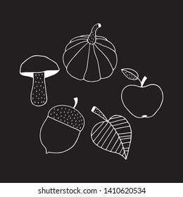 Outline autumn symbols of hand drawn pumpkin, mushroom, acorn, leaf and apple. Cute vector black and white autumn symbols. Isolated monochrome doodle autumn symbols and elements for any project.