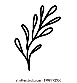 outline beauty curve leaf tree vector illustration icon design template with doodle hand drawn style