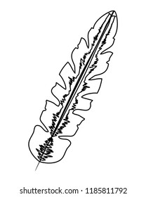 outline beauty exotic leaf branch design