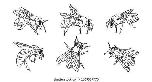 Juego de abejas de esquema. Estilo simple de doodle. Ilustración de material vectorial