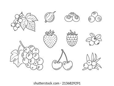 Contorno el conjunto de frutos de baya. Iconos vectoriales simples. Silhouette de frambuesa, fresa, grosella, uva, cereza, arándano, mora y arándanos.