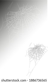 outline big spider web on dark and light background