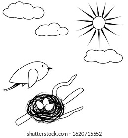 Outline bird flies over a nest with eggs on a branch isolated on white background. Stock vector illustration for decoration and design, children's books and coloring books, packaging, Easter, stickers