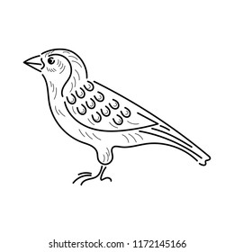 The outline of the bird. Hand drawn vector illustration.