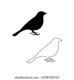 outline bird silhouette, vector illustrator 