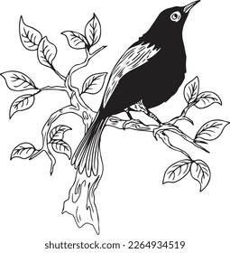 outline birds on a tree vector illustration isolated in white background
