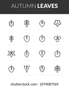 Outline black icons set in thin modern design style, flat line stroke vector symbols - autumn leaves collection