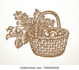 Outline black ink hand drawn antique rough cane twig craft braid picnic cep hip dish bast logo emblem ancient doodle pencil cartoon art engrave style. Closeup still life view white text space backdrop
