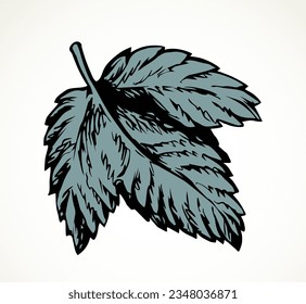 Outline black ink hand drawn emblem label design set retro art doodle engrave line print style. Close up macro view big fresh juicy grow wine vein leaflet sheet object. Light paper text space backdrop