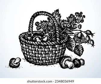 Outline black ink hand drawn antique rough cane twig craft braid picnic cep hip dish bast logo emblem ancient doodle pencil cartoon art engrave style. Closeup still life view white text space backdrop