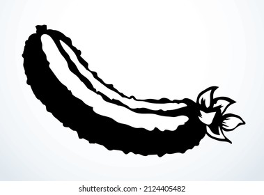Outline black ink pen hand drawn cute bio unripe prickly fragrant yummy crisp fruitage vine picture emblem pictogram design retro art doodle print style. Close up view light paper text space backdrop
