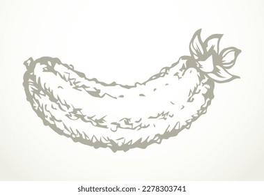 Outline black ink pen hand drawn cute bio unripe prickly fragrant yummy crisp fruitage vine picture emblem pictogram design retro art doodle print style. Close up view light paper text space backdrop