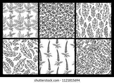 Outline black tiny flowers and pinnate leaves on white background. Monochrome spring and summer boundless backgrounds. Tileable design elements.