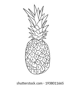 Pineapple Drawing High Res Stock Images Shutterstock