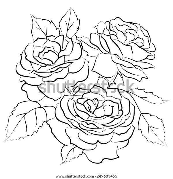 Outline Black White Roses Design Stock Vector (Royalty Free) 249683455