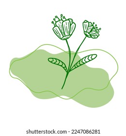 outline blooming tulip flower and fluid background with green color scheme