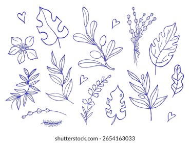 Esboço Blue Mediterrâneo plantas, azeitonas, folhas e flor Doodle coleção. la dolce vita estética. Desenho de mão isolada. Ilustração vetorial. Não é IA