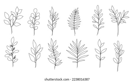 Outline boho branch, eucalyptus leaf set. One continuous line art decorative plant leaves. Editable stroke eucalyptus, fern, salal, olive foliage floral element. Isolated vector illustration