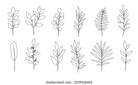 Outline boho tree, eucalyptus leaf set. One continuous line art decorative plant leaves. Editable stroke eucalyptus, fern, salal, olive foliage floral element. Isolated vector illustration