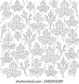 Outline botanical floral drawing illustration 01 02