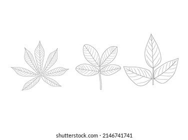 outline botanical leaf icon set vector