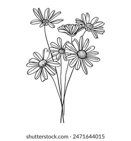 Outline bouquet chamomile or daisy flowers on stem and leaves. Hand drawn sketch isolated on white background.