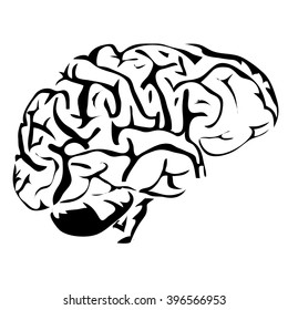 Outline brain human internal organs vector image