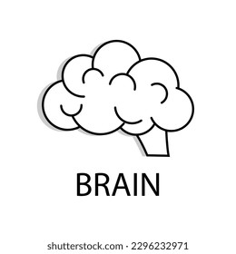 Outline brain vector icon for web design on white background.