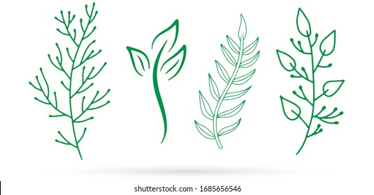 outline branch set with leaves icon isolated on white, eco logo, kids hand drawing art line, spring, summer, autumn, bundle sticker of leaf, sketch vector stock illustration