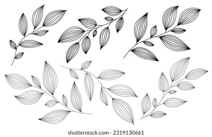 Outline branches with leaves. Contour thin leaf. Botanical set of hand drawn design elements