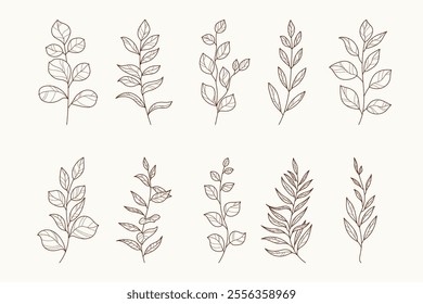 Outline Branches Silhouettes in Hand Drawn Style. Floral herbs isolated on white background. Botanical plants with leaves. Simple black ink greenery