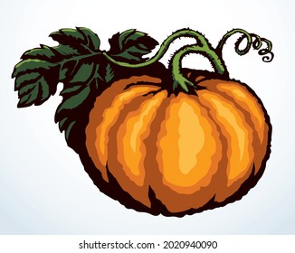 Outline bright orange color hand drawn bio eco health veggi cook emblem design retro art doodle line engrave print style. Close up view large tasty yummy raw ripe fresh melon paper text space backdrop