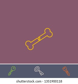 Outline broken bone icon.Best broken bone vector, illustrated icon for modern web and mobile design.Bonus broken key symbol