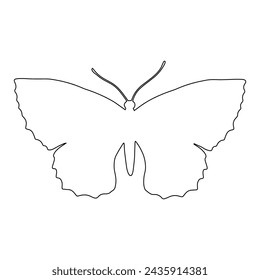 Outline of a butterfly insect. Vector graphics.