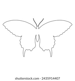 Contorno de un insecto mariposa. Gráficos vectoriales.