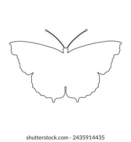 Outline of a butterfly insect. Vector graphics.