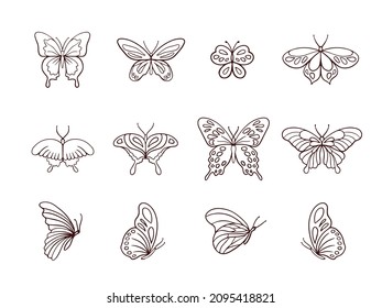 Outline of a butterfly, stencil, symbol, logo. Black and white outline of a butterfly, vector illustration for children for coloring, coloring book.