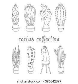 Outline cactus collection. Cute cartoon cacti set. Vector illustration of cactus in flat style.