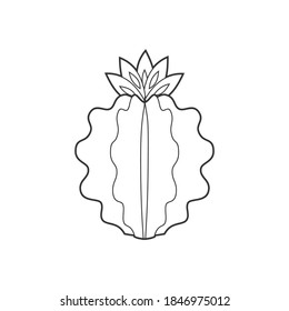 Outline cactus and succulent plant vector illustration. Decorative isolated icon. Cartoon style doodle.