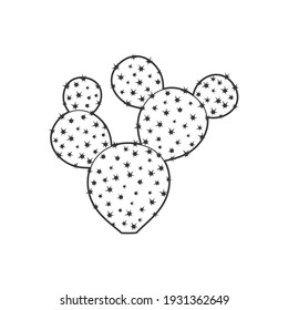 Outline cactus and succulent plant vector illustration. Decorative isolated icon. Cartoon style doodle.