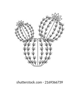 Outline cactus and succulent plant vector illustration