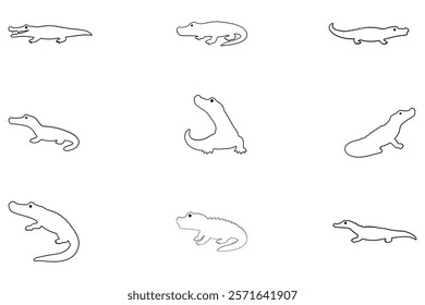 Outline Caiman Illustration Design Set