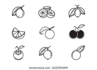 Outline Calamansi Vector Line Drawing