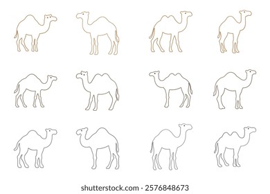 Outline Camel Illustration Design Set