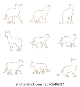 Outline Caracal Illustration Design Set