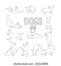 Outline cartoon dogs  vector set. Collection of outline cartoon dog in different positions.